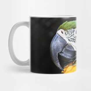 Parrot Mug